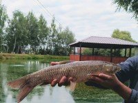 Рыбалка в Заворово