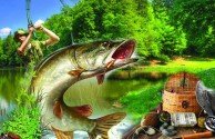 Рыболов на Клементьевской и Полосухина