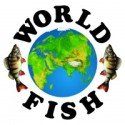 World-Fish