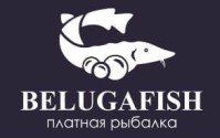 BelugaFish