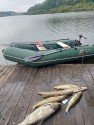 Черкасское - открытие рыбалки на хищника
